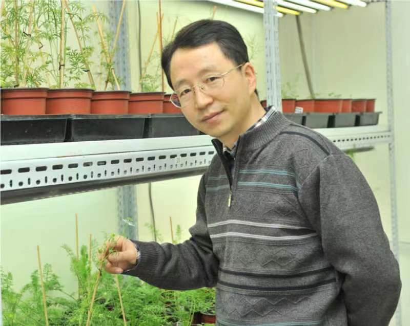 九游平台创新论坛第一千二百六十八讲暨120周年校庆年系列活动：复杂花瓣的发育与进化